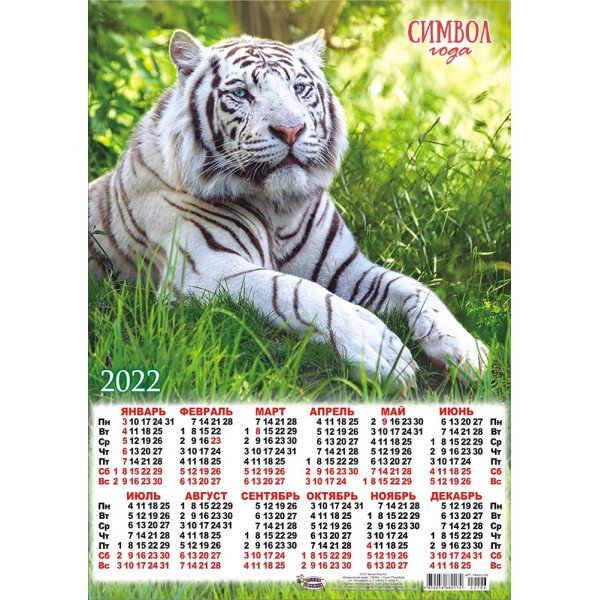Календарь  "Белый тигр в траве"